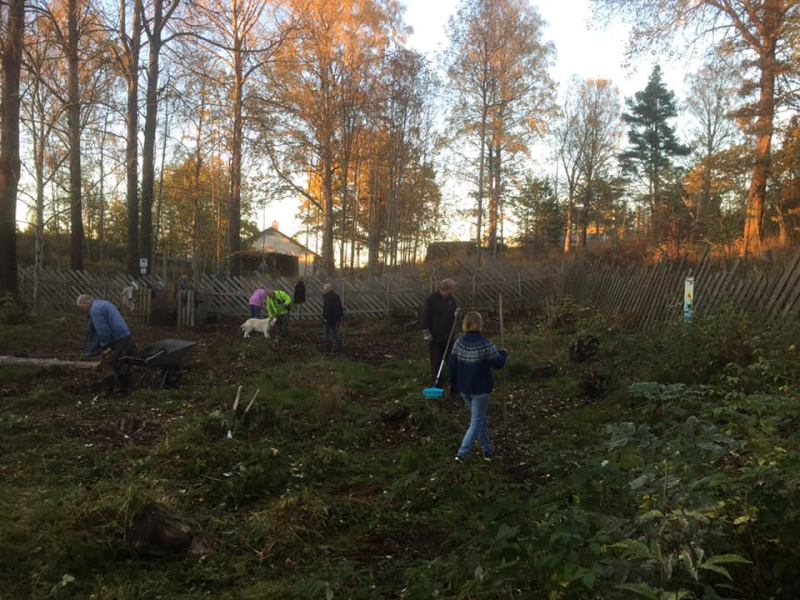 Hunderparken stråler i ny glans