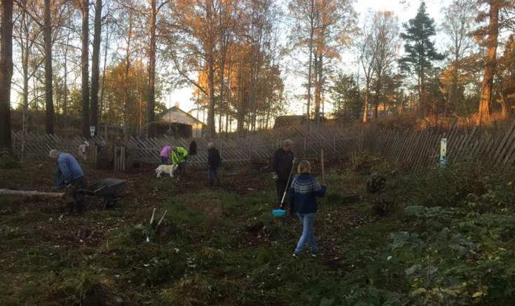 Hunderparken stråler i ny glans